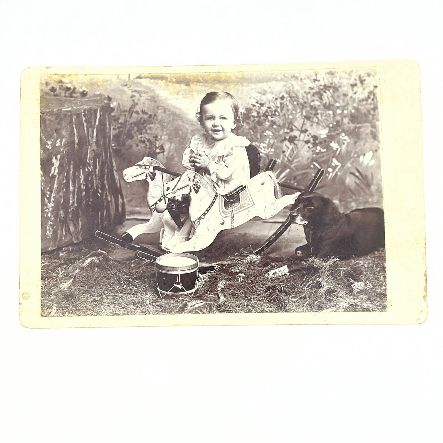 1890s Cabinet Card CDV Little Girl on Hobby Horse With Black Labrador Dog AC3