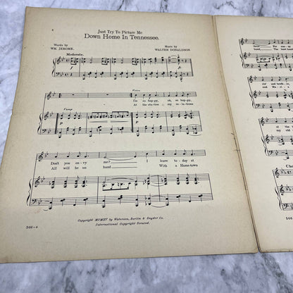 Back Home in Tennessee Al Jolson Walter Donaldson 1915 Sheet Music TK2-SM3