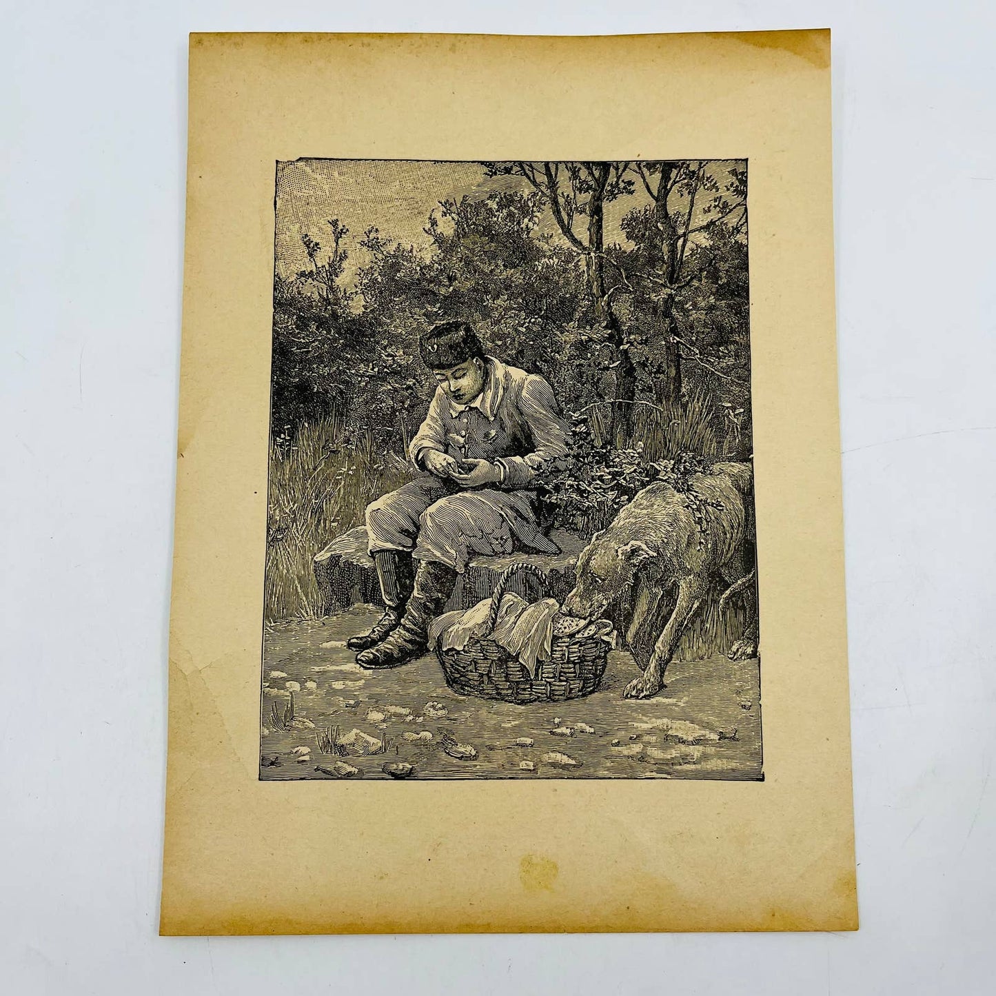 1880s Victorian Art Print Engraving Asian Man w Dog Eating from Picnic Basket C8