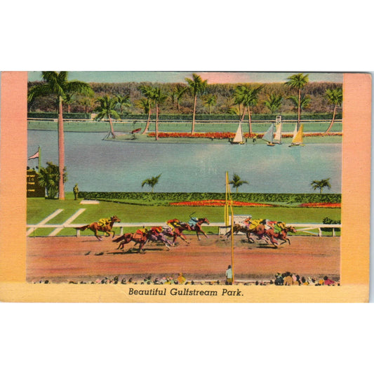 Horse Racing at Gulfstream Park 1950s Original Postcard TK1-23