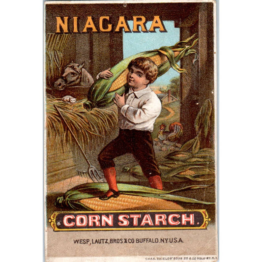 1880s Victorian Trade Card Niagara Corn Starch H. Wicke Groceries New York SE8