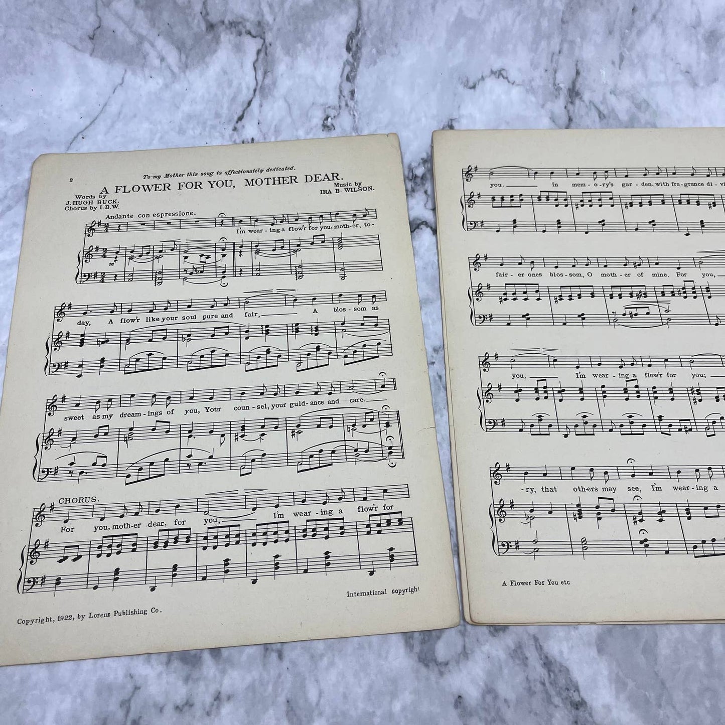 A FLOWER FOR YOU, MOTHER DEAR sheet music ~ 1922 Ira B Wilson TI1