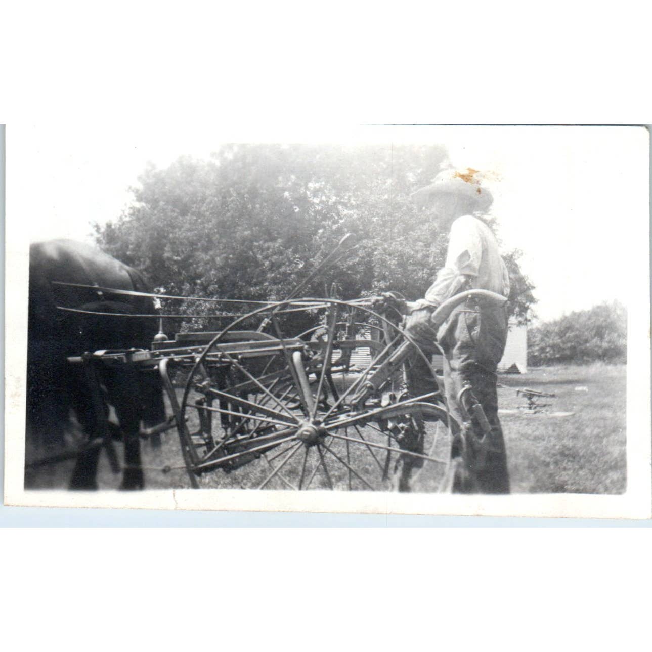 Vintage Photograph Farmer and Horse With Plow 2.5x4" SE5