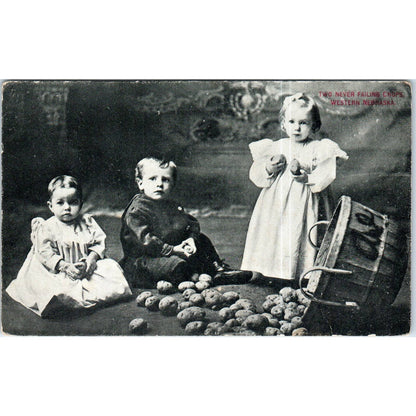 Two Never Failing Crops Western Nebraska RPPC Original Postcard TK1-P13