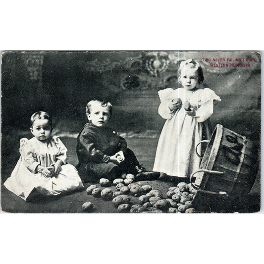 Two Never Failing Crops Western Nebraska RPPC Original Postcard TK1-P13