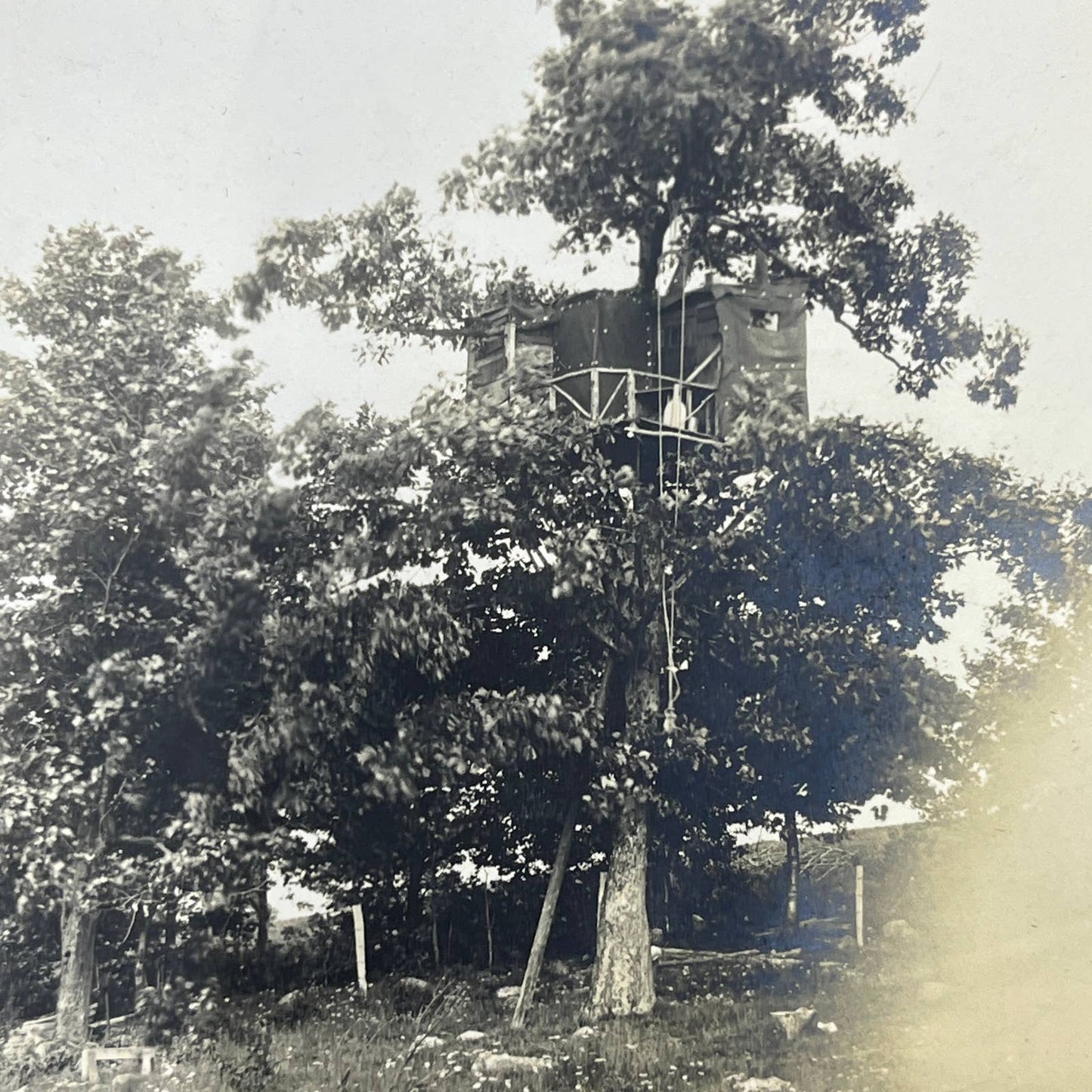 1903 Original Photo Tree house Built By Americans Ulster Co NY At Tuxpam AC7