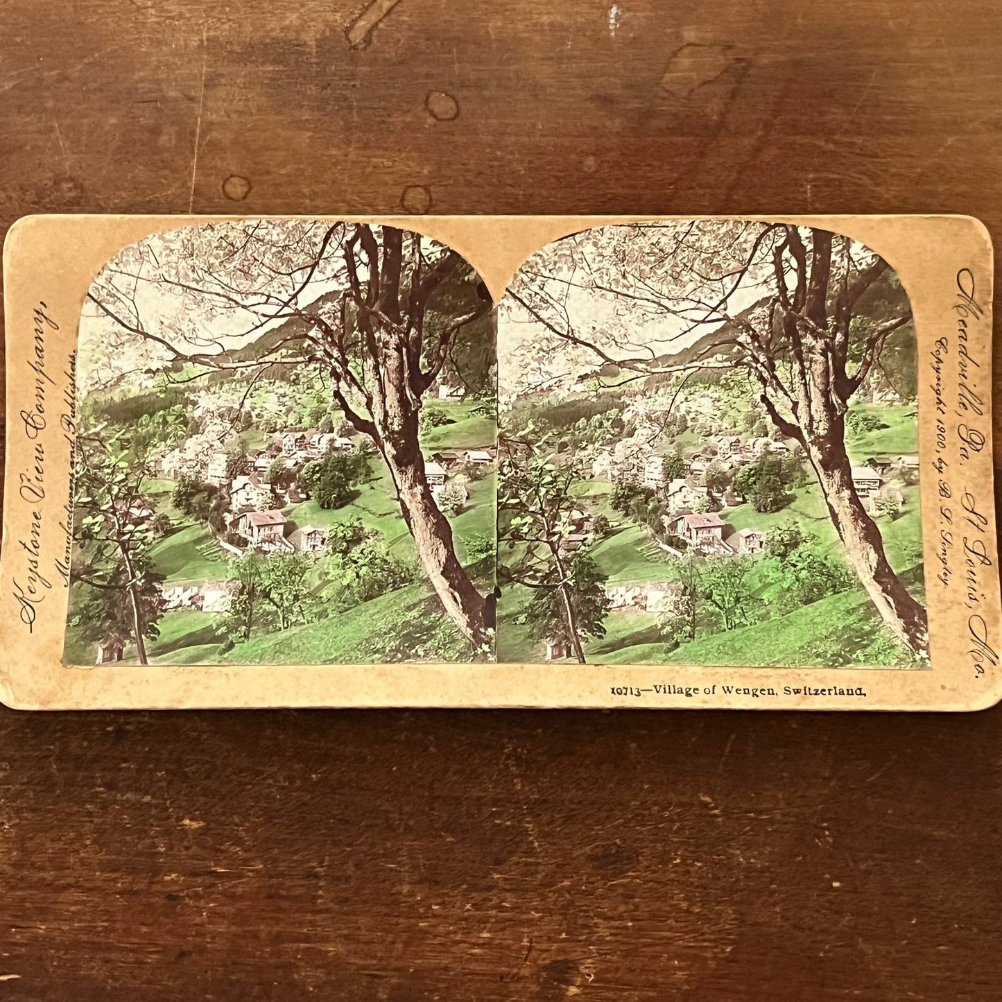 Village of Wengen Switzerland 1900 Antique Stereoview Card TJ9-V3