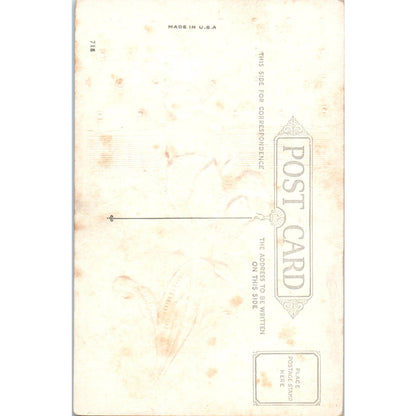 Birthday Fairies Face in Flower Tulips Embossed c1920 Original Postcard TK1-27-2