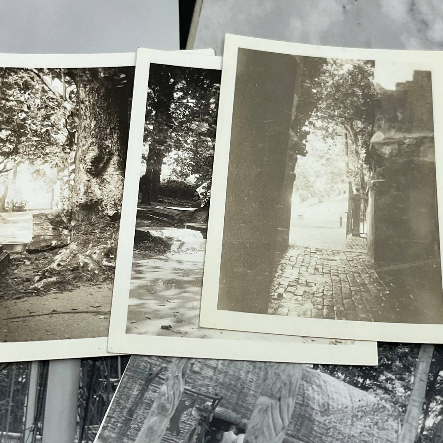 1957 Collection of Photos & Negatives Jamestown Vacation TJ9-PG5