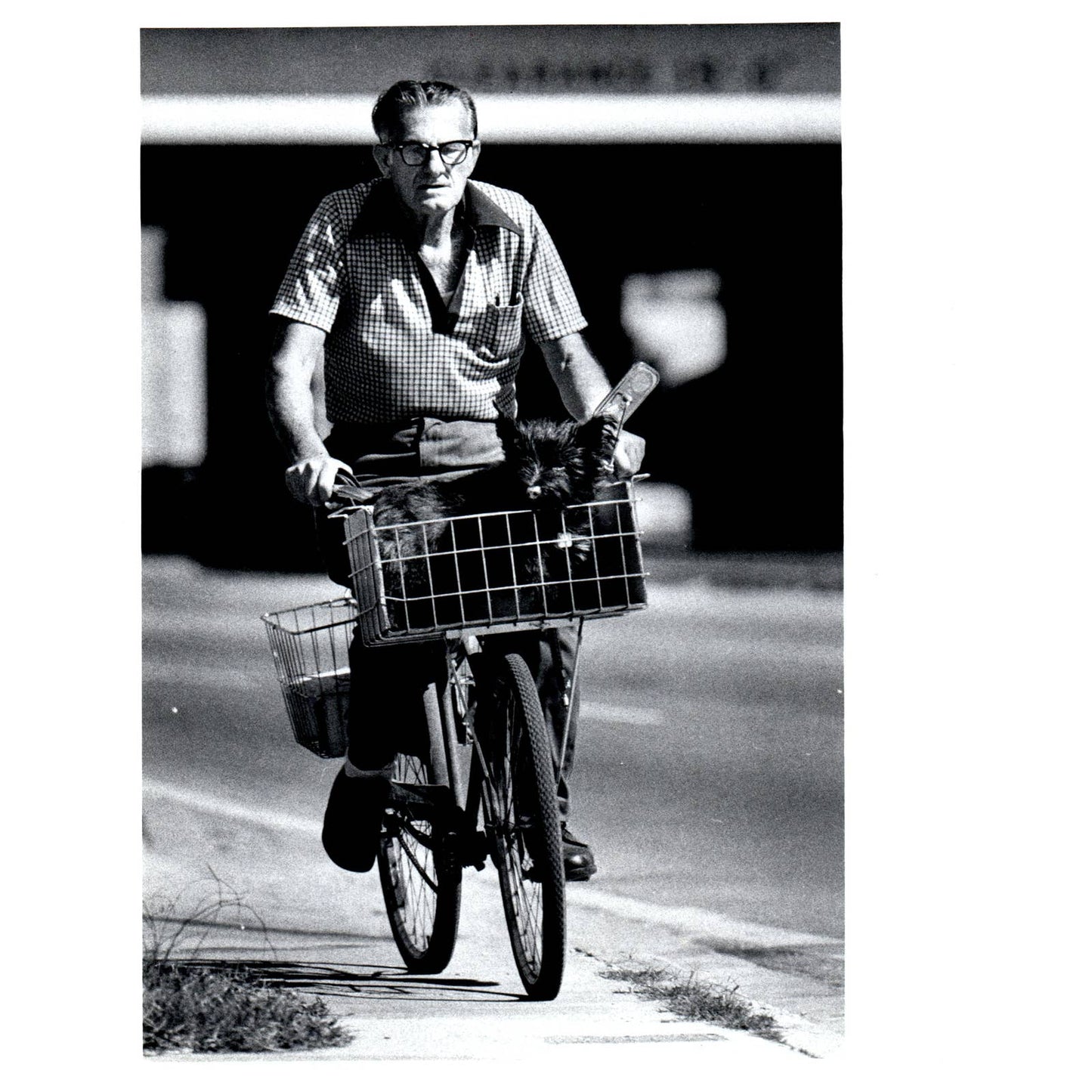 1981 Press Photo Cycling Newell Turnham & Scotty Dog Smokey Miami FL 8x10" AD3