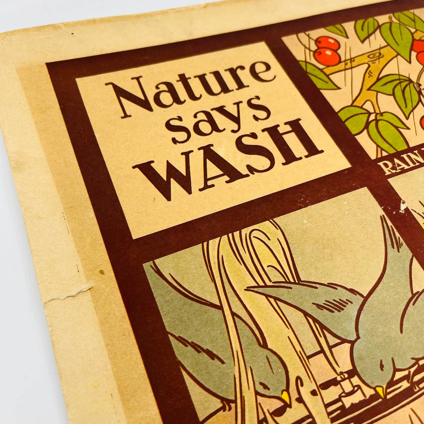 1932 Nature Says Wash Character Culture Citizenship Guides Classroom Poster #25