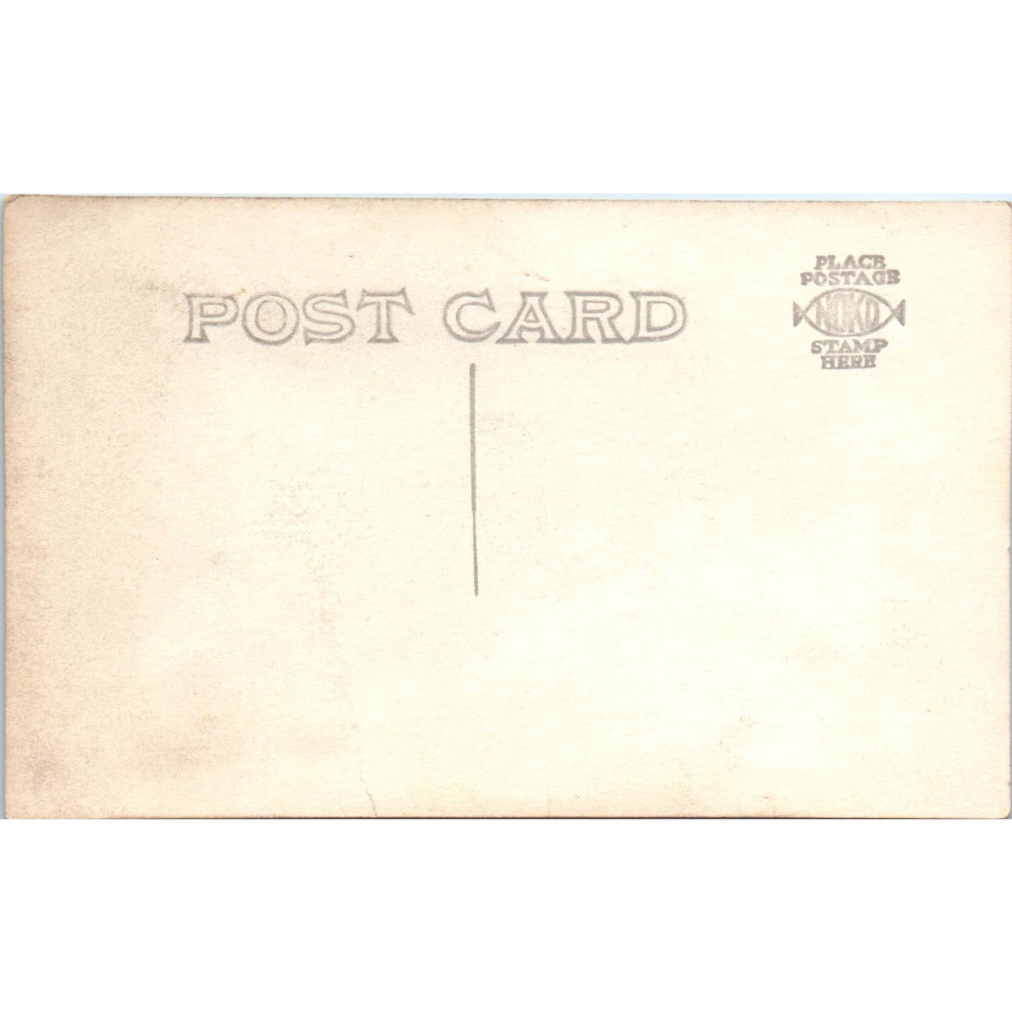 Antique RPPC Postcard Large Group Family Photo in the Country EA3