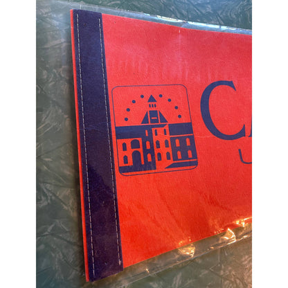 Vintage Carroll University (Wisconsin) Souvenir Sports Felt Pennant