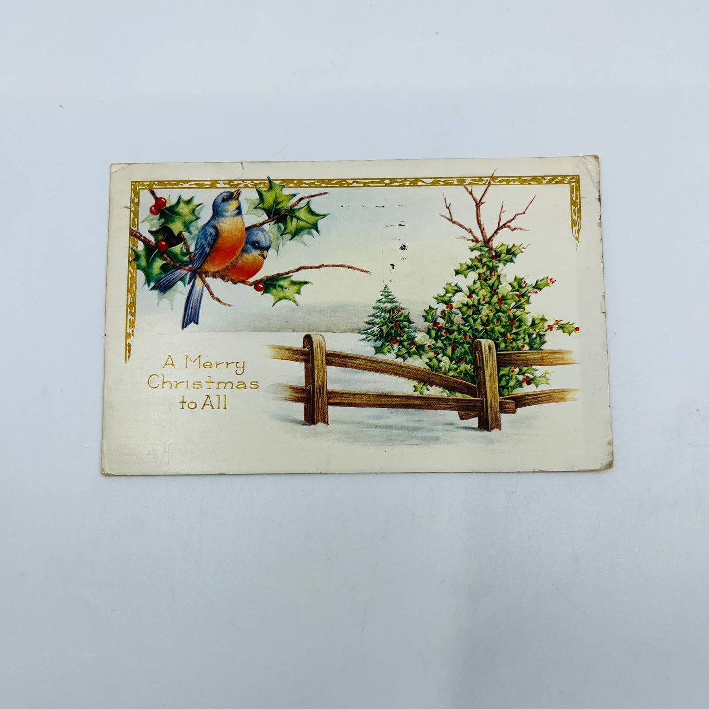 1910s Christmas Post Card Embossed Bluebirds Holly Fence Whitney Gilt PA4