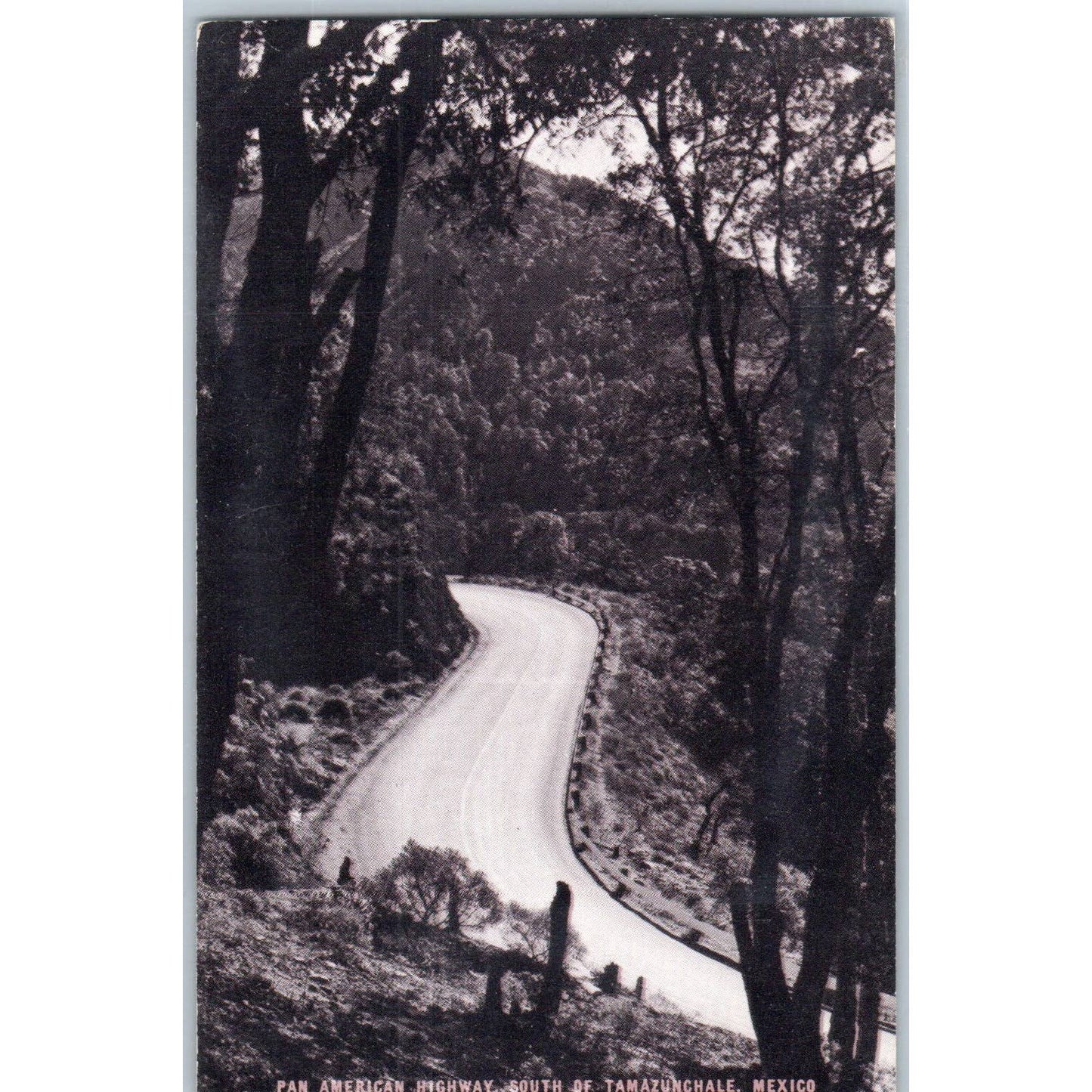 Pan American Highway South of Tamazunchale Mexico Original RPPC Postcard TJ7-MP