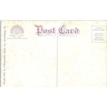 Bird's Eye View Portland PA Original Postcard TK1-21