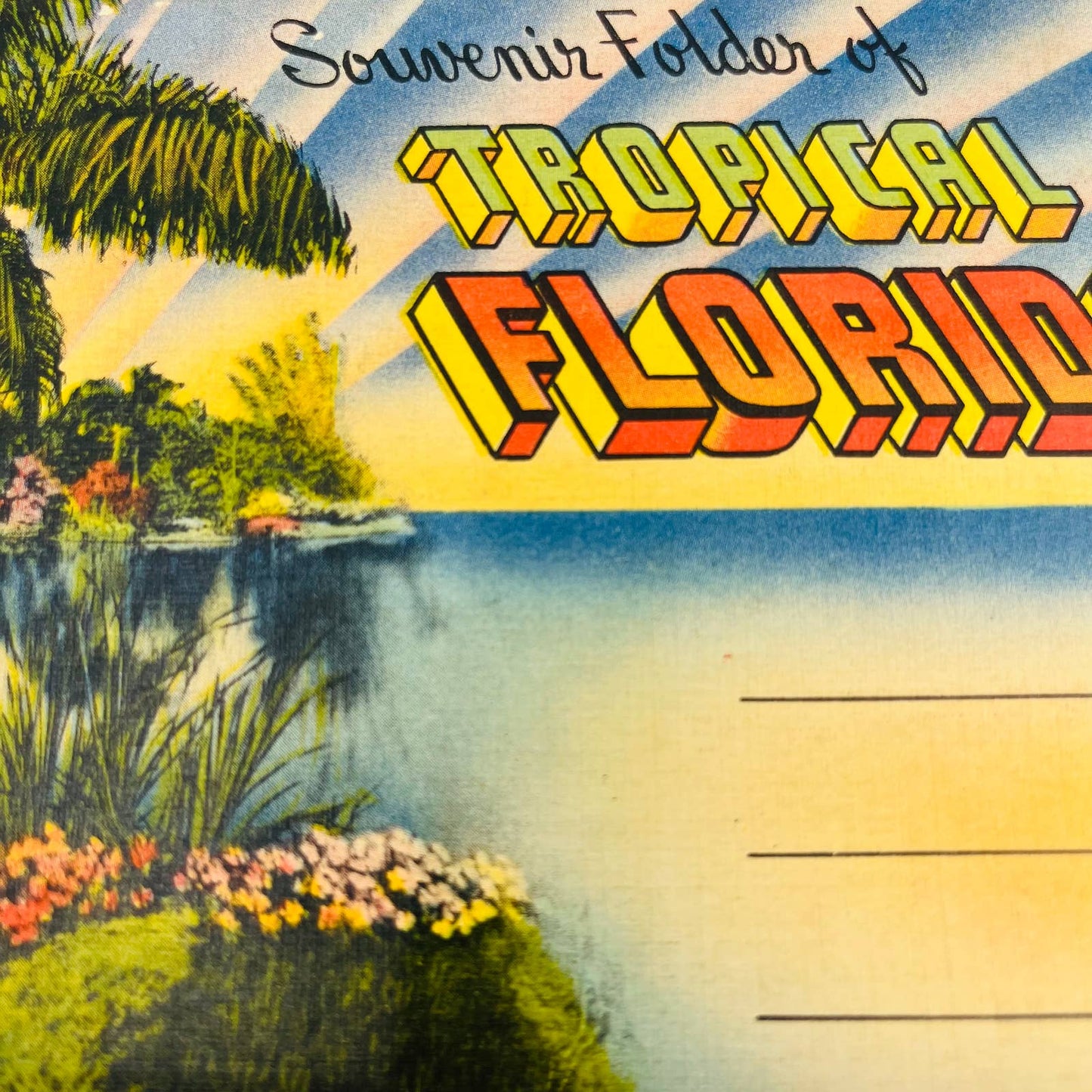 1940s Tropical Florida Fold Out Postcard Souvenir Book EA2