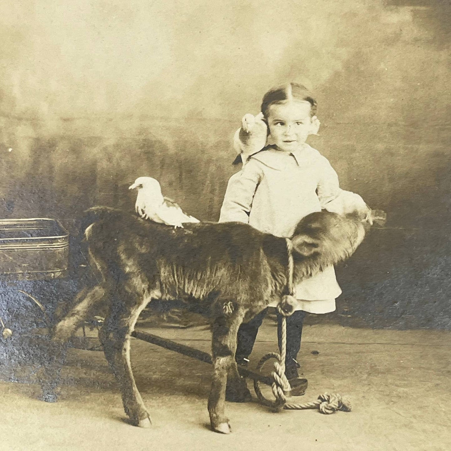 1912 Photo Little Girl Feeding Goat Clara Nass Strickert Liberal KS AB8