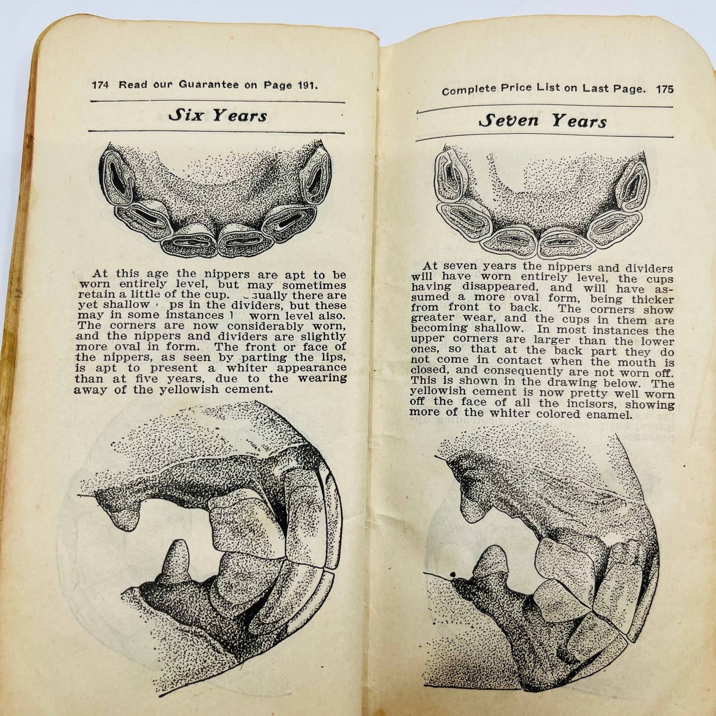 1904 Fleming Brothers Vest Pocket Veterinary Adviser For Farmers Cattle SA7