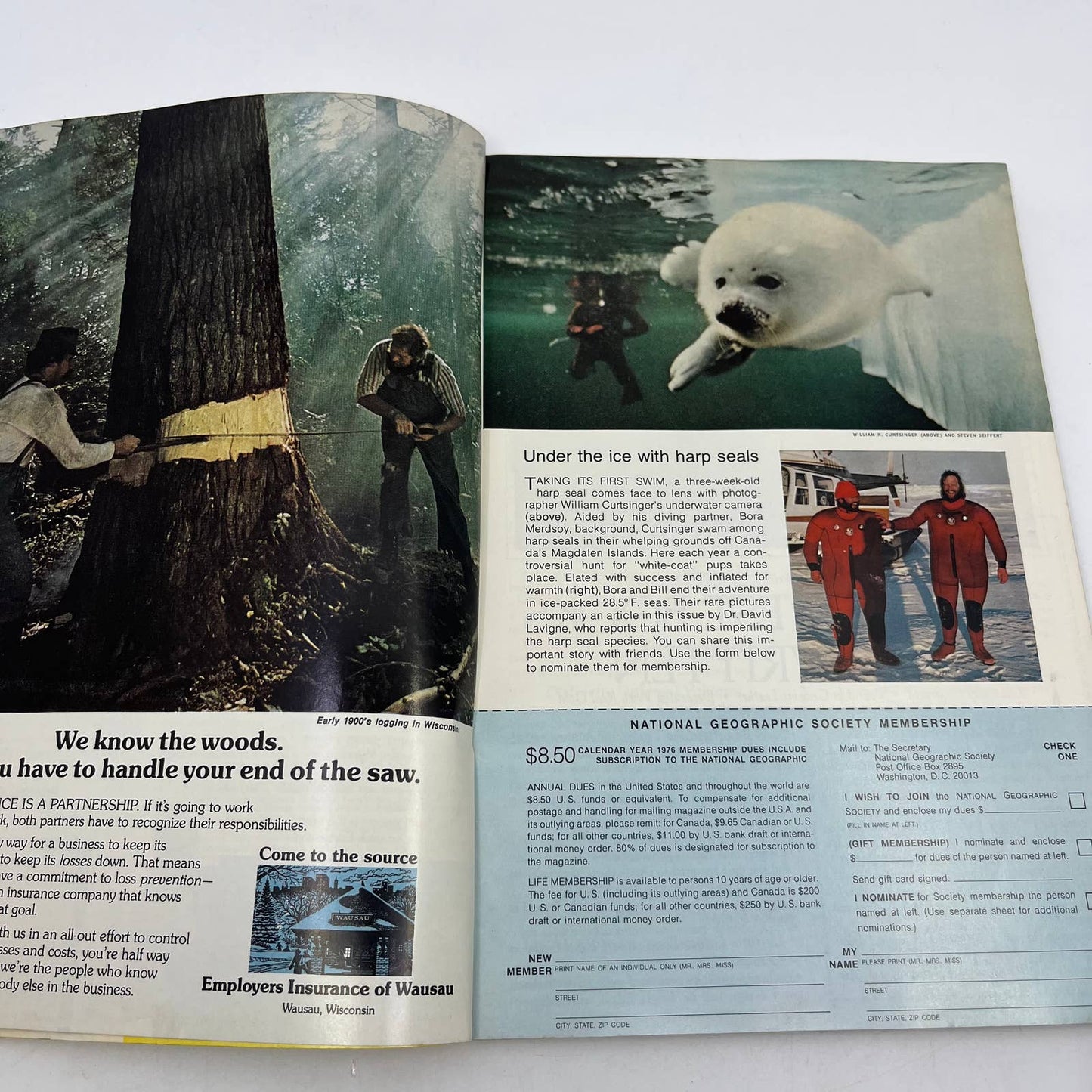 1976 Jan National Geographic Magazine Life or Death for The Harp Seal, Haiti TH3