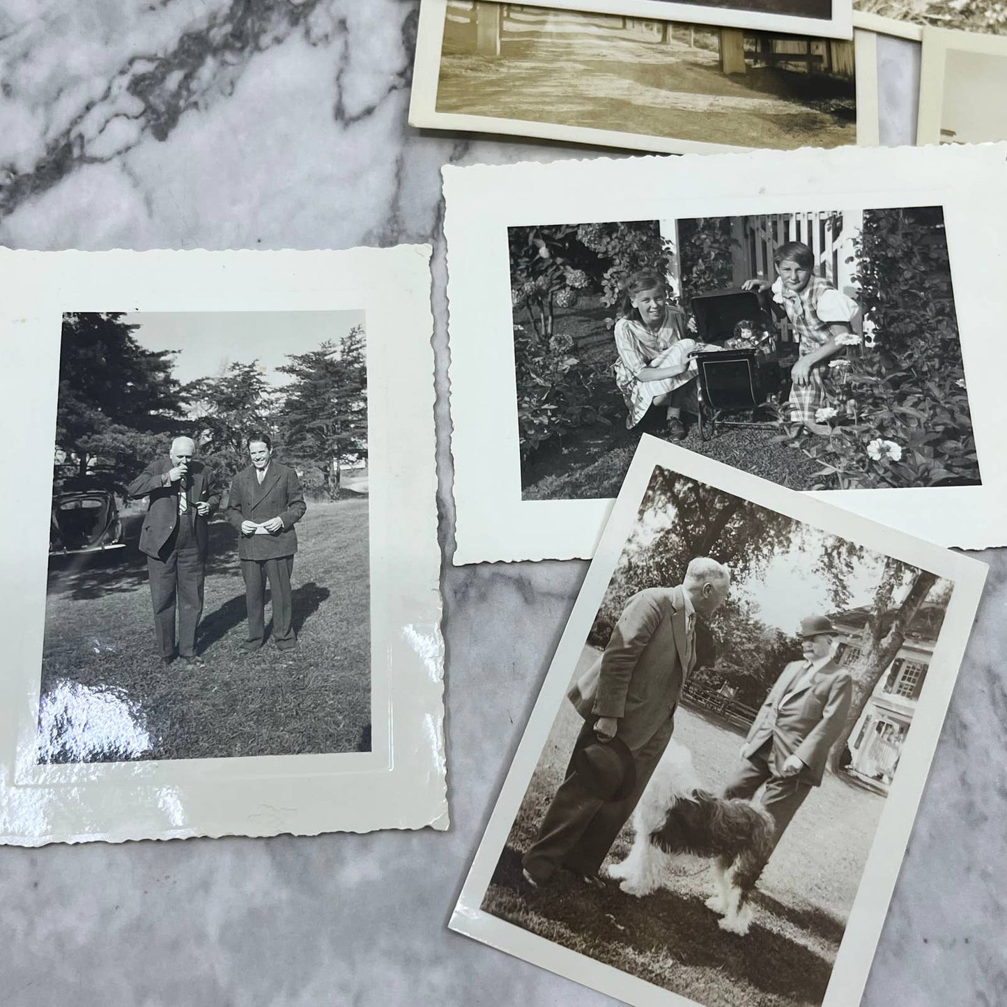 1930s Collection of Photos & Negatives Talhern Farms Paoli PA E.T. Trigg TK1-PL