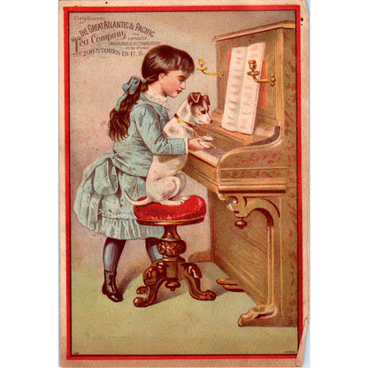 1880s Trade Card Jack Russell Terrier Dog Piano - Atlantic & Pacific Tea Co SF2