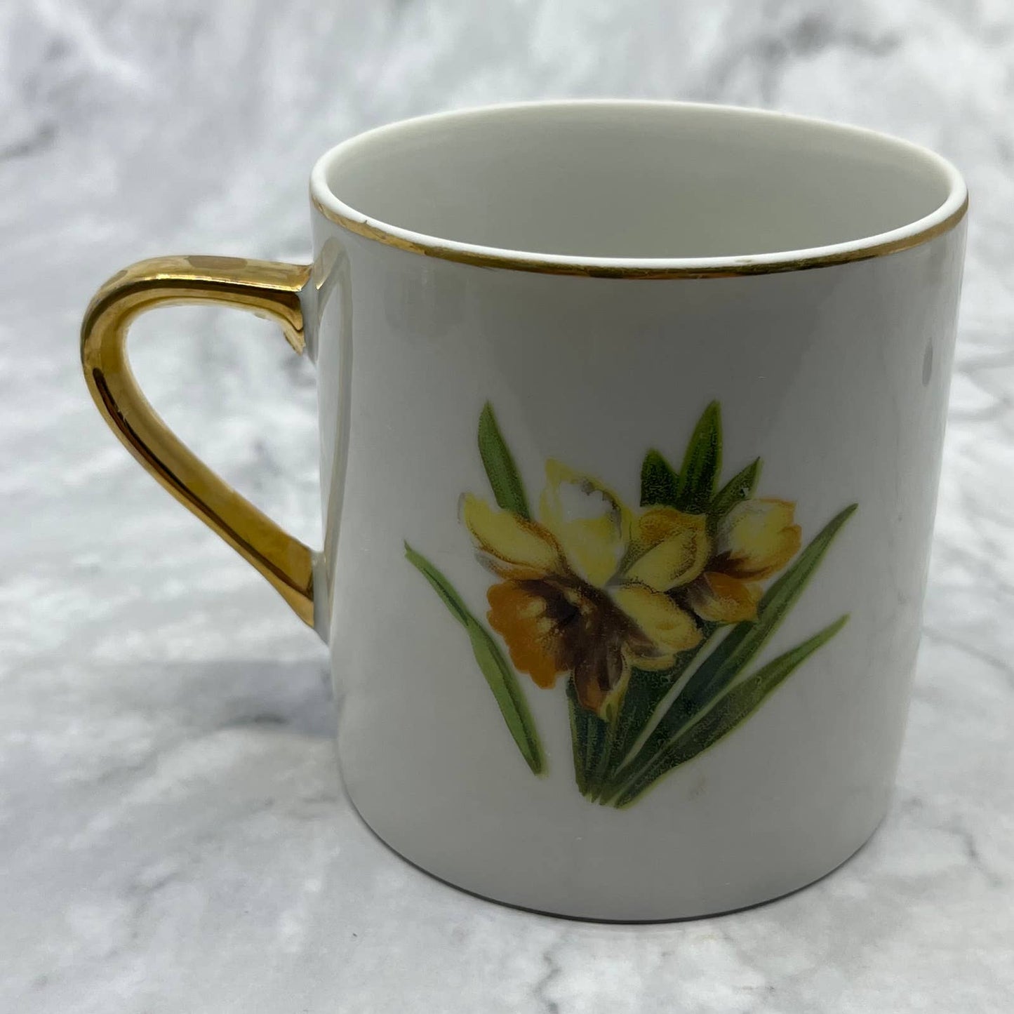 Vintage Fine China Tea Cup Norcrest March Daffodil TD6-3