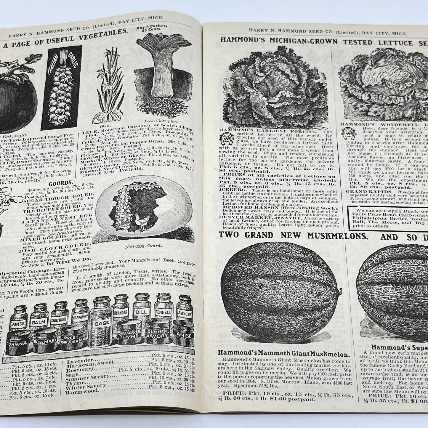 Harry Hammond Seed Co. 1904 Catalog Bay City MI Giant Potato Sensation TF7