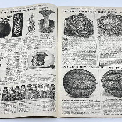 Harry Hammond Seed Co. 1904 Catalog Bay City MI Giant Potato Sensation TF7