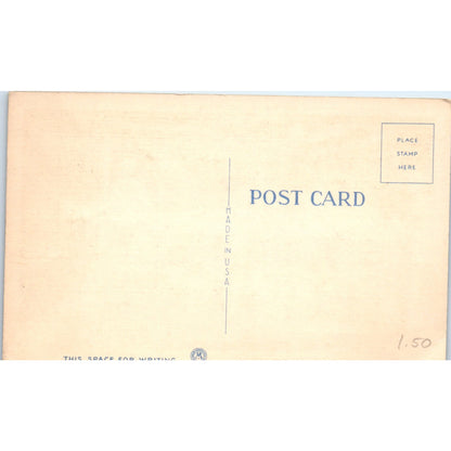 Dog Racing at St. Petersburg Florida 1950s Original Postcard P2-9