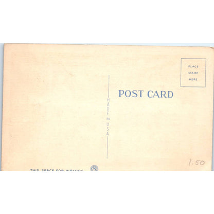 Dog Racing at St. Petersburg Florida 1950s Original Postcard TK1-23