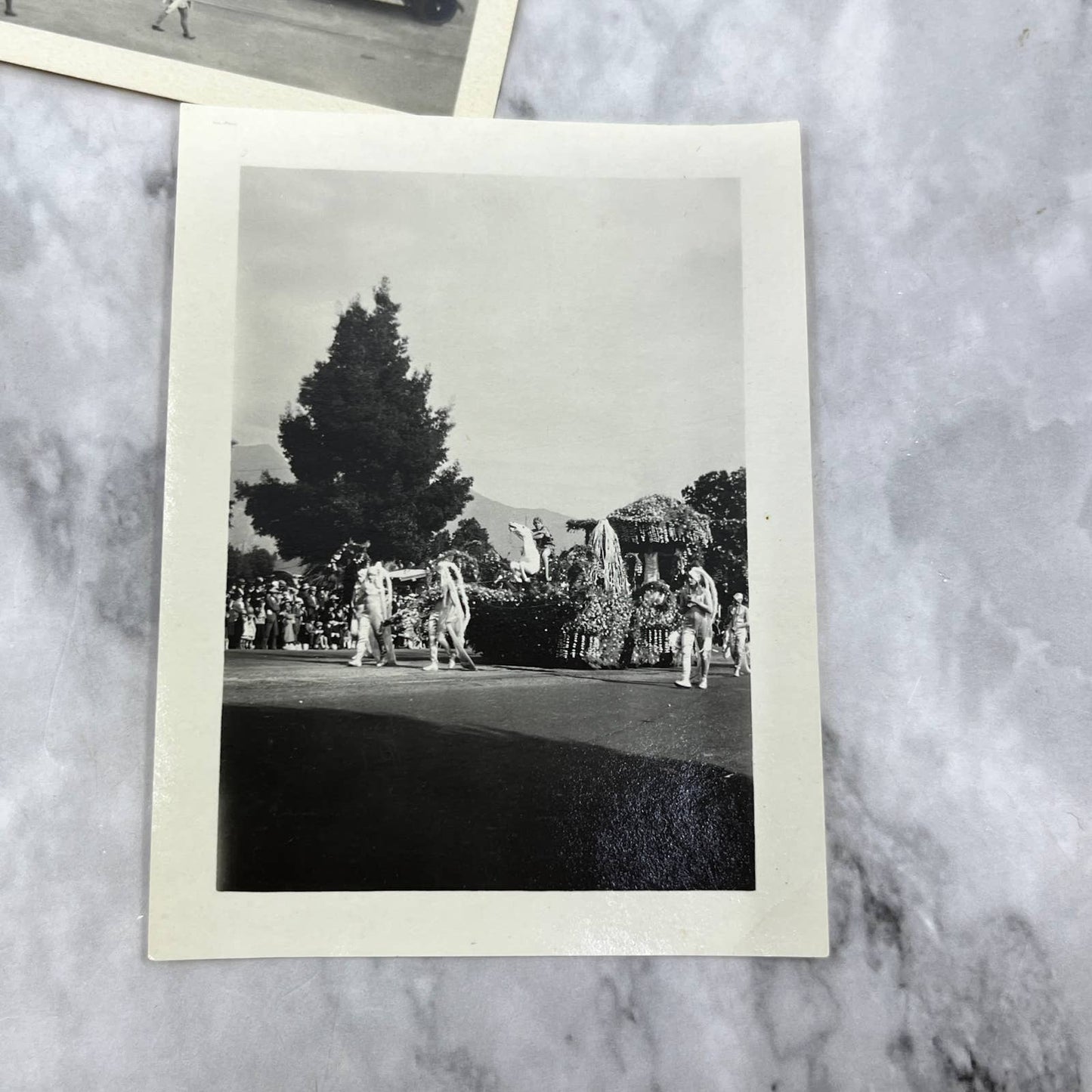 1930s Collection of Photos From New Year’s Day Flower Parade Pasadena CA TJ8
