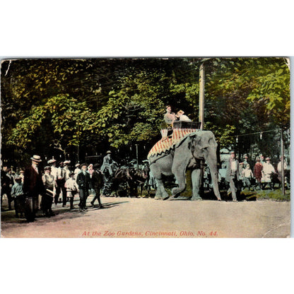 c1910 Postcard Elephant Ride Zoo Gardens Cincinnati Ohio TD9
