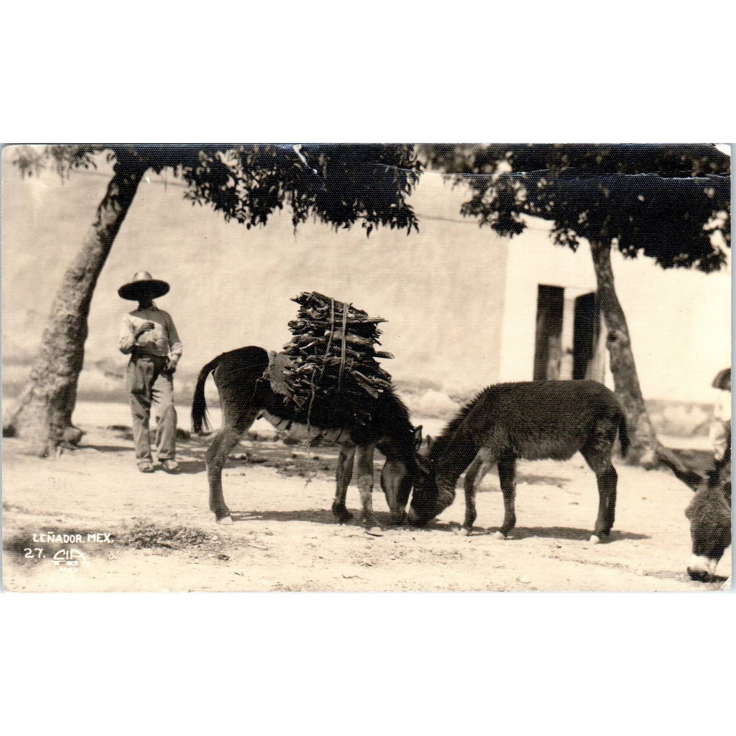 Lenador Mexico Burro Carrying Sticks 1938 Original Postcard TK1-P1