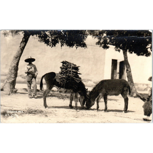 Lenador Mexico Burro Carrying Sticks 1938 Original Postcard P3-3