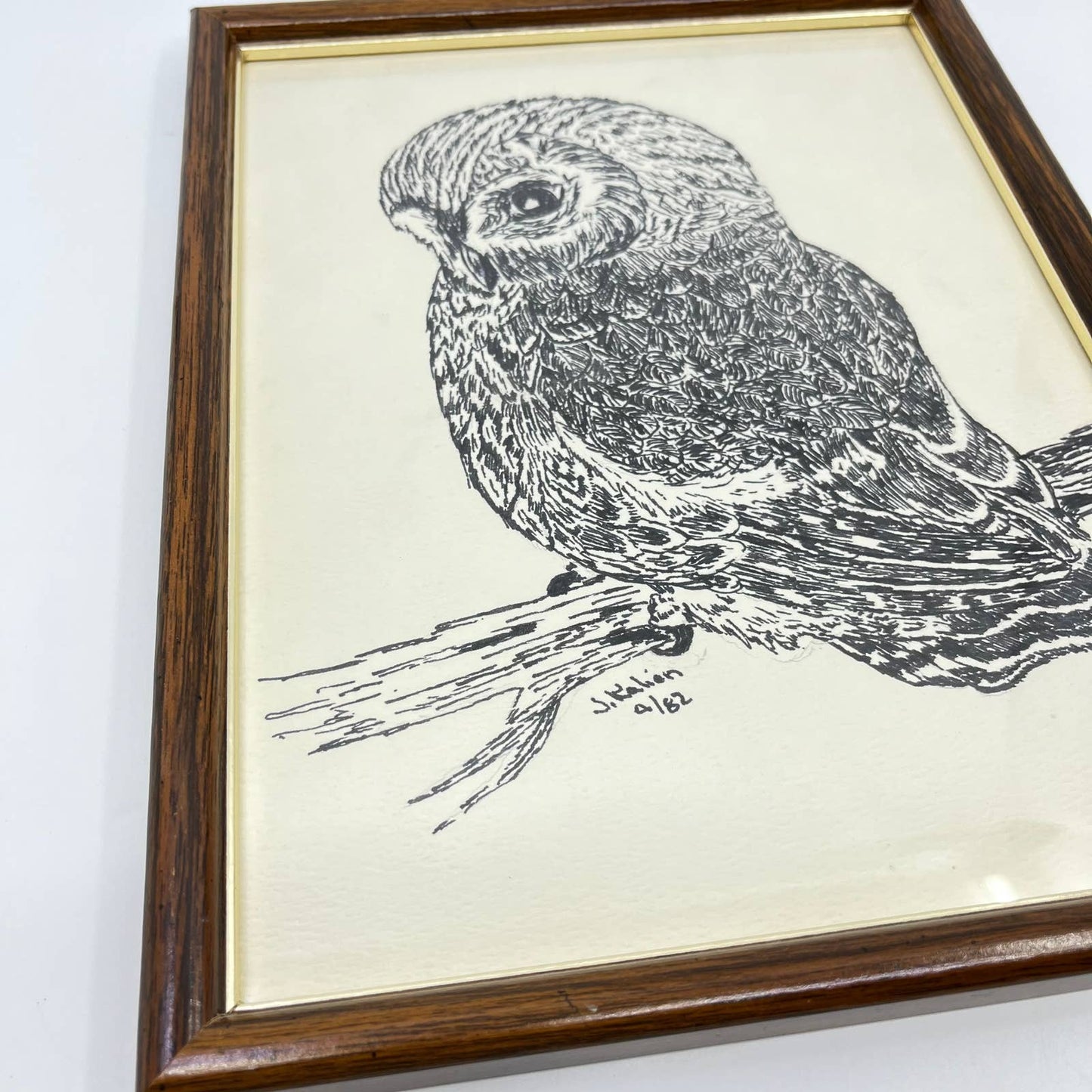 1982 Original Framed Owl Ink Sketch Signed J. Kalien 9x11” TE6