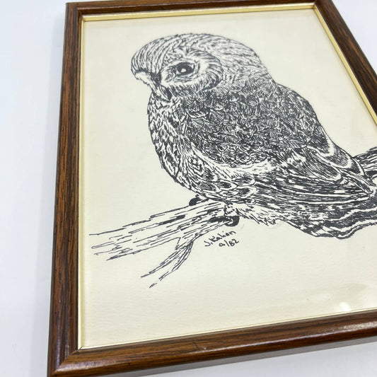 1982 Original Framed Owl Ink Sketch Signed J. Kalien 9x11” TE6