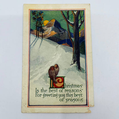 1910s Christmas Post Card WINSCH Back Birds Mountains Moon Snow Poem PA4