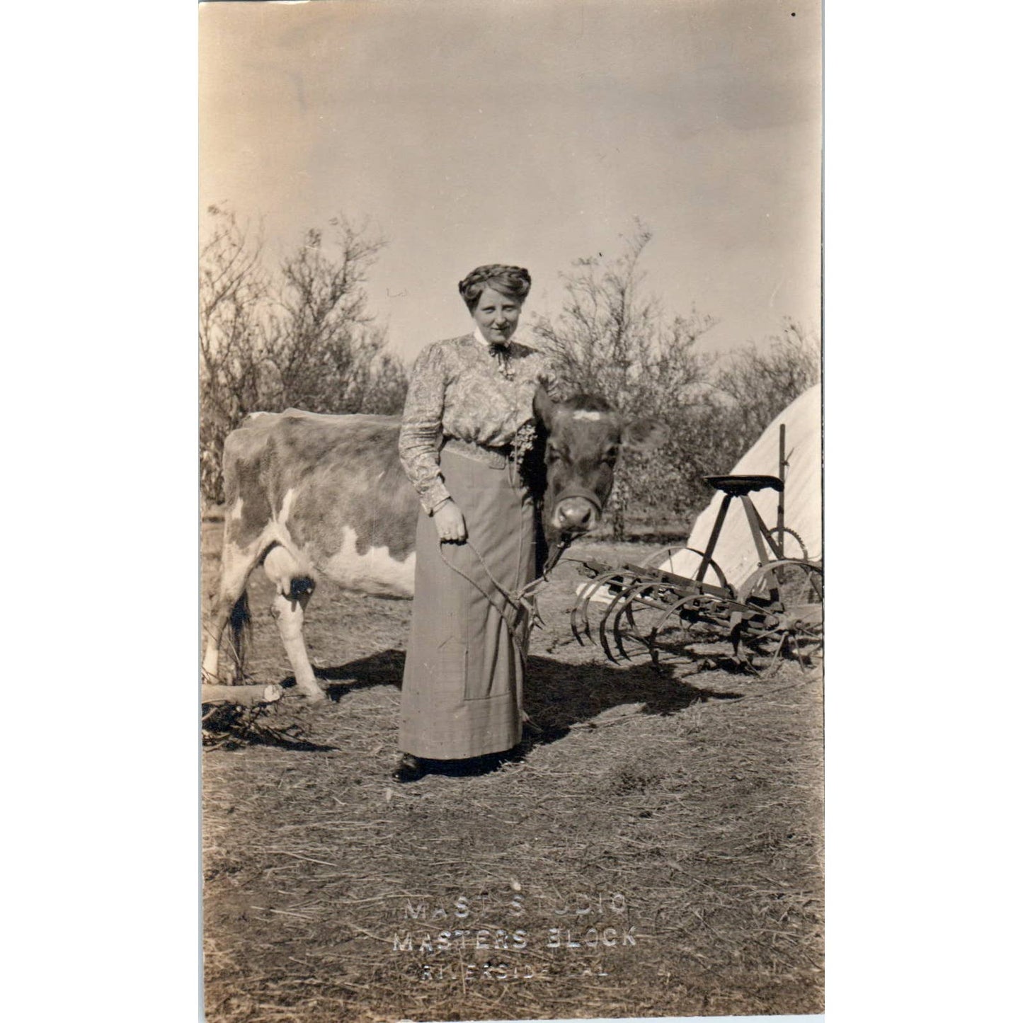 Antique Postcard RPPC Woman and Cow Master's Block Riverside CA SE8