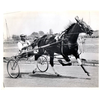 c1960 Original Press Photo Horse & Jockey Harness Racing Unknown Event AE1