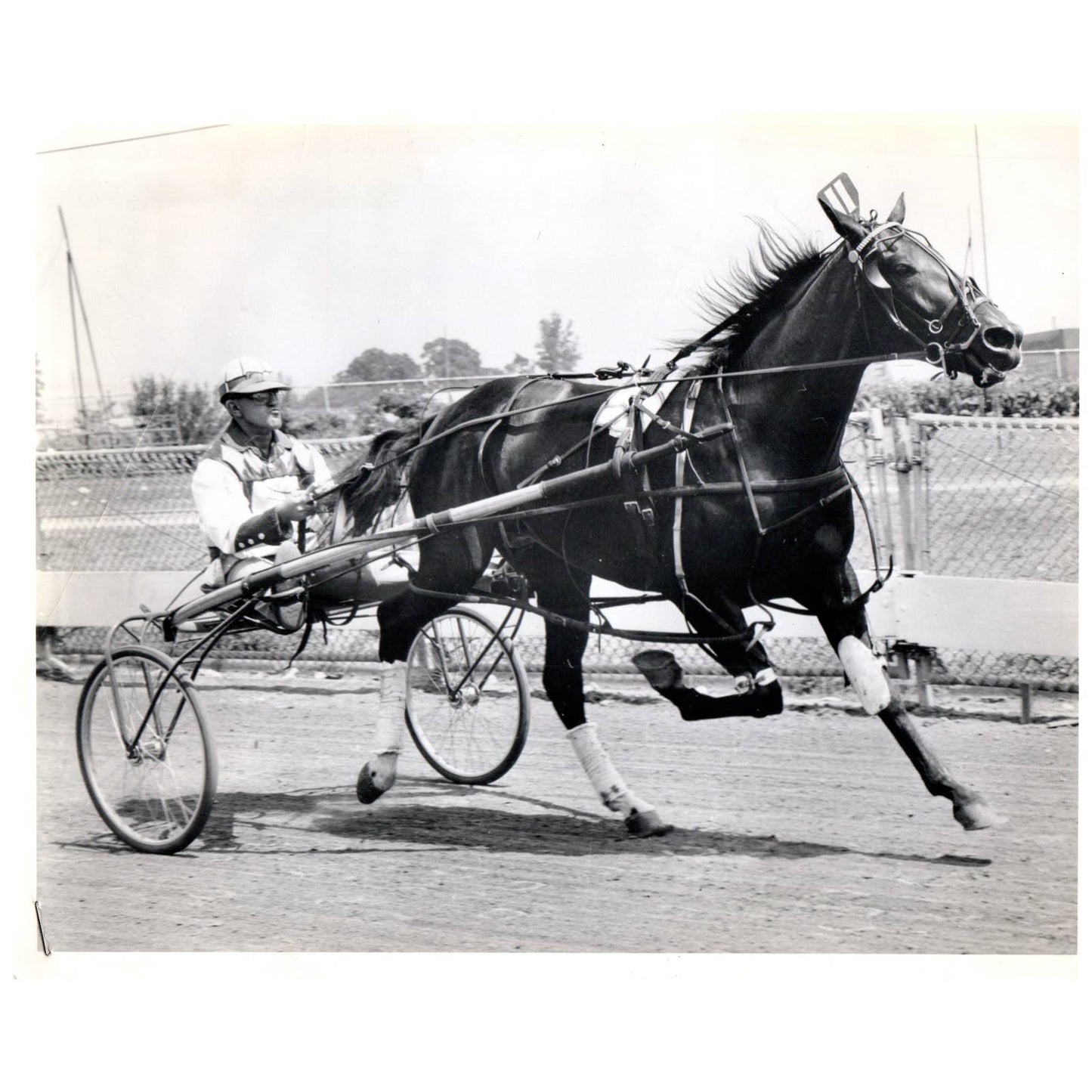 c1960 Original Press Photo Horse & Jockey Harness Racing Unknown Event AE1
