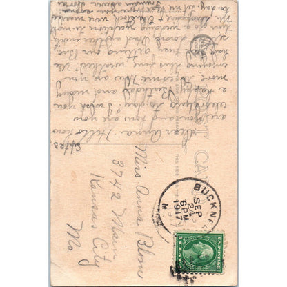 Face in Flower Lilies 1917 Original Postcard TK1-27