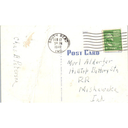 Flier Education, Funny Dog Flying Terms, Comic Humor Original Postcard TK1-27