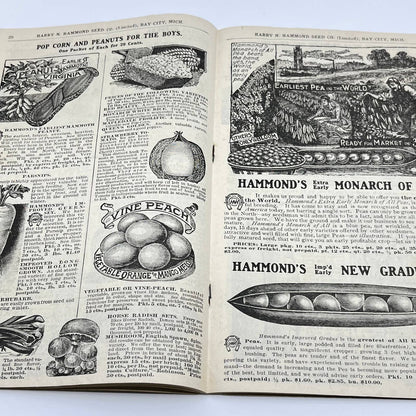Harry Hammond Seed Co. 1904 Catalog Bay City MI Giant Potato Sensation TF7