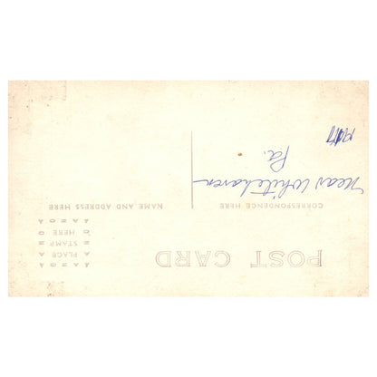 Downed Trees Near White Haven PA 1917 - Original Postcard RPPC TJ8-4