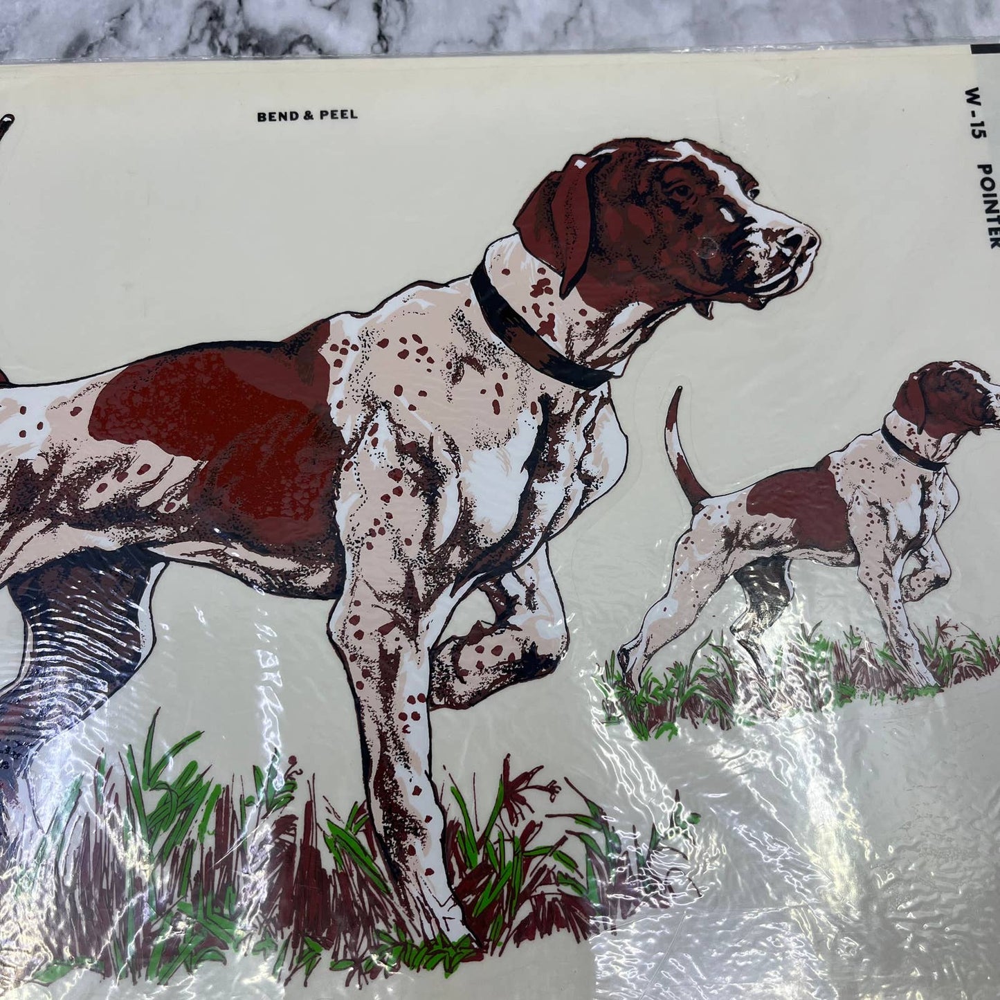 1981 NEW NOS Decorcal Sports & Wildlife Decal W-15 Pointer Hunting Dog FL5