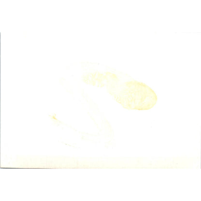 Japan Ambassador Takeuchi Forbes Hall Auditorium 1966 Original Photo 5x7 TK1-P4