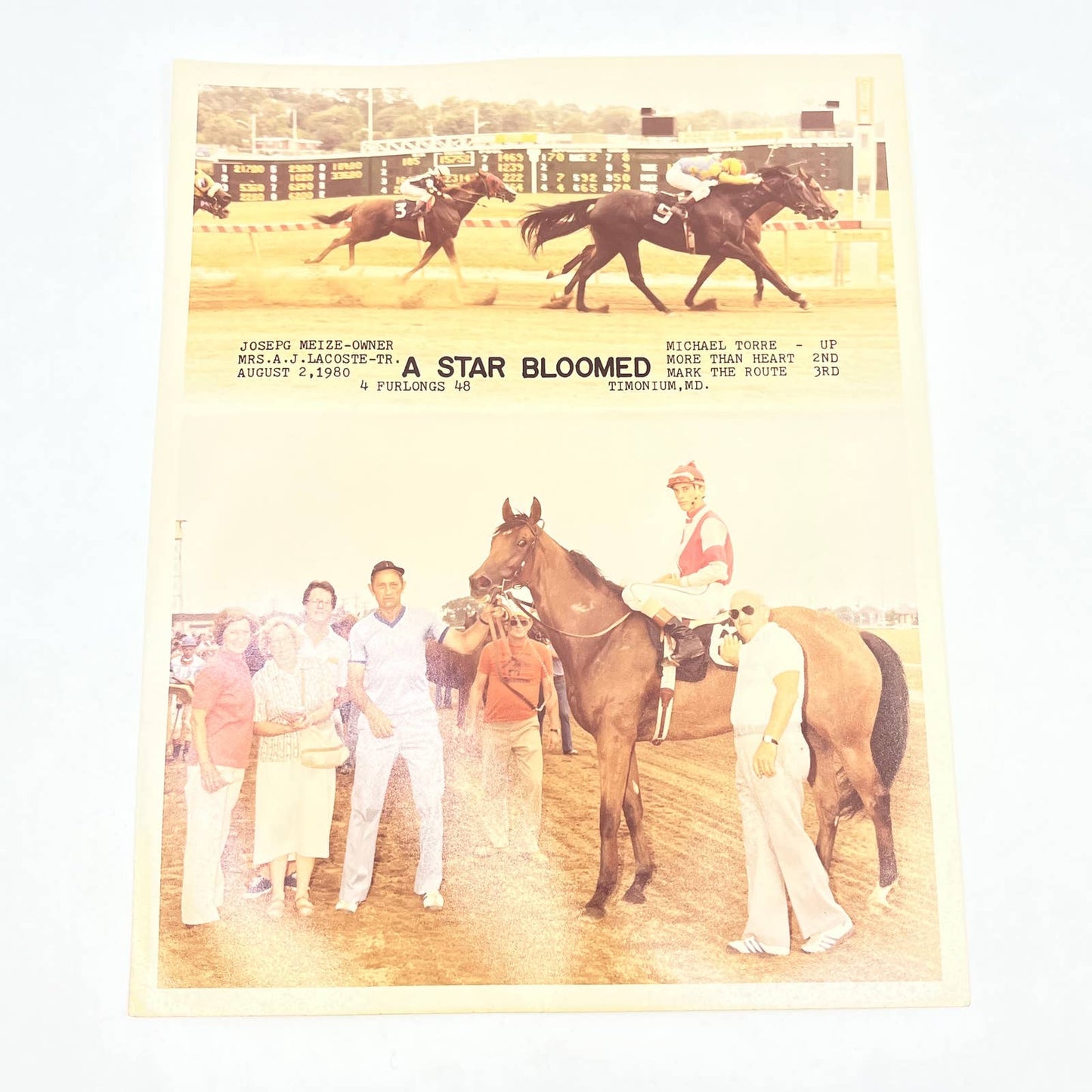 1980 Original Horse Race Winner Photo "A Star Bloomed" Timonium MD AC5