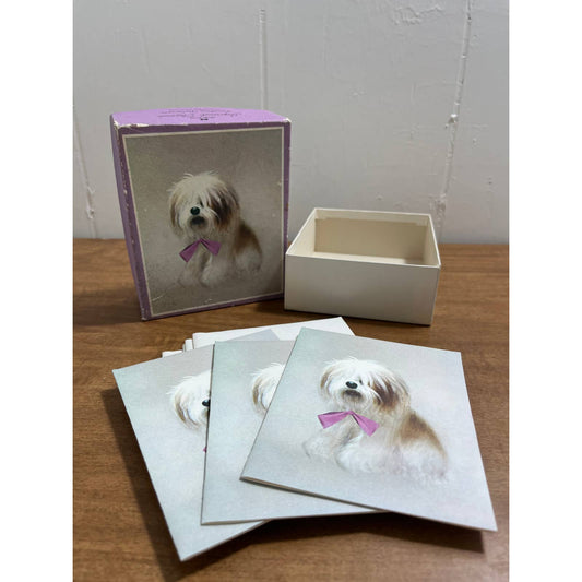 Vintage Norcross Shih Tzu Shaggy Dog Greeting Card Box Cards and Envelopes TF5