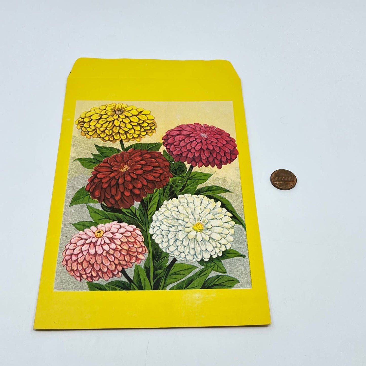 1920s Original Flower Seed Packet Chromolithographed ZINNIAS D8